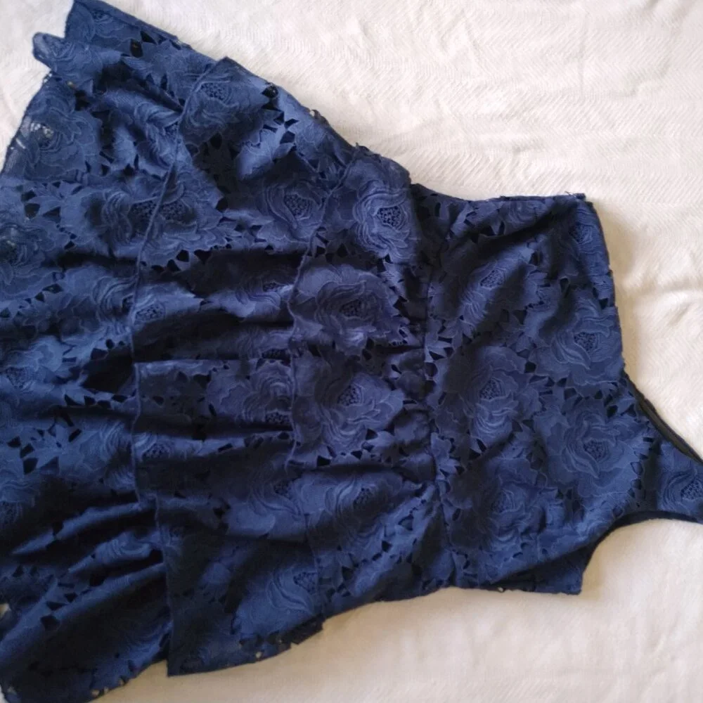 NWT! Layered with love Dress! ONLY $49! RETAIL $158! Chic Blue Floral Lace Sz 1X - Picture 3 of 7